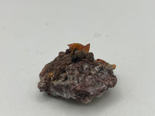Load image into Gallery viewer, Wulfenite
