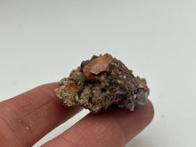 Load image into Gallery viewer, Wulfenite
