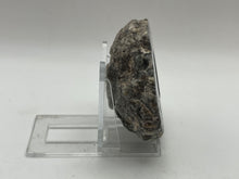 Load image into Gallery viewer, Dugway geode
