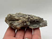 Load image into Gallery viewer, Woolastonite

