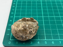 Load image into Gallery viewer, Agate geode

