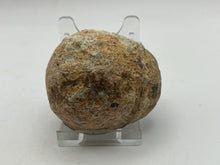 Load image into Gallery viewer, Dugway geode
