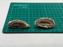 Load image into Gallery viewer, Agate geode pair
