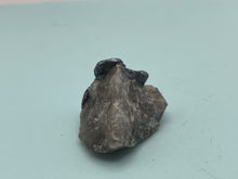 Load image into Gallery viewer, Molybdenite
