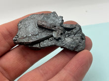 Load image into Gallery viewer, Hematite after magnetite in pseudomorph
