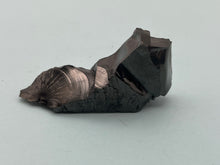 Load image into Gallery viewer, Elite Shungite
