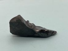 Load image into Gallery viewer, Elite Shungite
