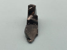 Load image into Gallery viewer, Elite Shungite
