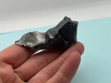 Load image into Gallery viewer, Elite Shungite
