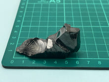 Load image into Gallery viewer, Elite Shungite

