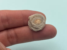 Load image into Gallery viewer, Amorite chalcedony rose
