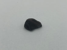 Load image into Gallery viewer, Fossil wood (jet)
