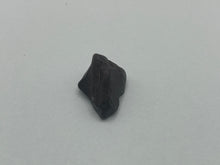 Load image into Gallery viewer, Fossil wood (jet)
