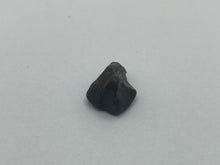 Load image into Gallery viewer, Fossil wood (jet)
