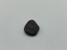 Load image into Gallery viewer, Whitby jet fossil wood

