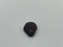 Load image into Gallery viewer, Whitby jet fossil wood
