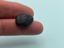 Load image into Gallery viewer, Whitby jet fossil wood
