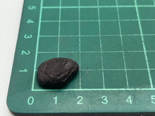 Load image into Gallery viewer, Whitby jet fossil wood
