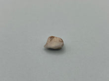 Load image into Gallery viewer, Ethiopian opal
