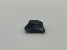 Load image into Gallery viewer, Whitby Jet fossil wood
