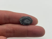 Load image into Gallery viewer, Amorite chalcedony rose
