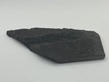 Load image into Gallery viewer, Osteoplepis Macrolepidotus fish fossil
