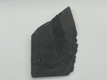 Load image into Gallery viewer, Osteoplepis Macrolepidotus fish fossil
