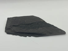 Load image into Gallery viewer, Osteoplepis Macrolepidotus fish fossil
