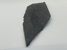 Load image into Gallery viewer, Osteoplepis Macrolepidotus fish fossil
