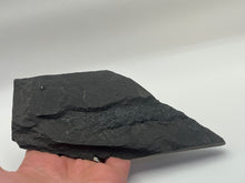 Load image into Gallery viewer, Osteoplepis Macrolepidotus fish fossil
