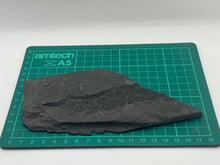Load image into Gallery viewer, Osteoplepis Macrolepidotus fish fossil
