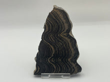 Load image into Gallery viewer, Stromatolite
