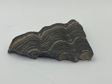 Load image into Gallery viewer, Stromatolite

