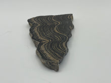 Load image into Gallery viewer, Stromatolite
