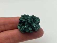 Load image into Gallery viewer, Malachite
