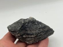 Load image into Gallery viewer, Hornblende gneiss
