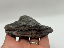 Load image into Gallery viewer, Hornblende genies
