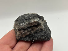 Load image into Gallery viewer, Hornblende Gneiss With Quartz,biotite Mica,chlorite And Feldspar
