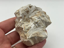 Load image into Gallery viewer, Tremolite

