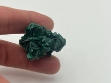 Load image into Gallery viewer, Malachite
