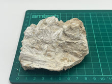 Load image into Gallery viewer, Tremolite

