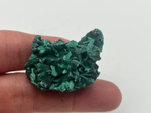 Load image into Gallery viewer, Malachite
