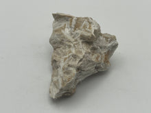 Load image into Gallery viewer, Tremolite
