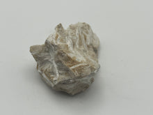 Load image into Gallery viewer, Tremolite
