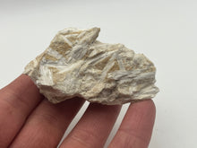 Load image into Gallery viewer, Tremolite
