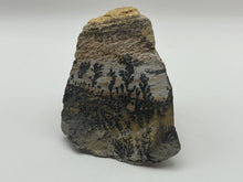Load image into Gallery viewer, Dendritic Psilomelane Manganese
