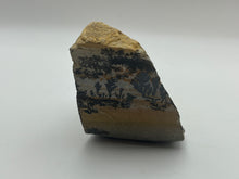 Load image into Gallery viewer, Dendritic Psilomelane Manganese
