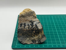 Load image into Gallery viewer, Dendritic Psilomelane Manganese
