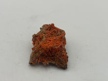 Load image into Gallery viewer, Crocoite
