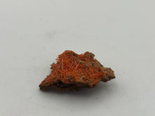 Load image into Gallery viewer, Crocoite
